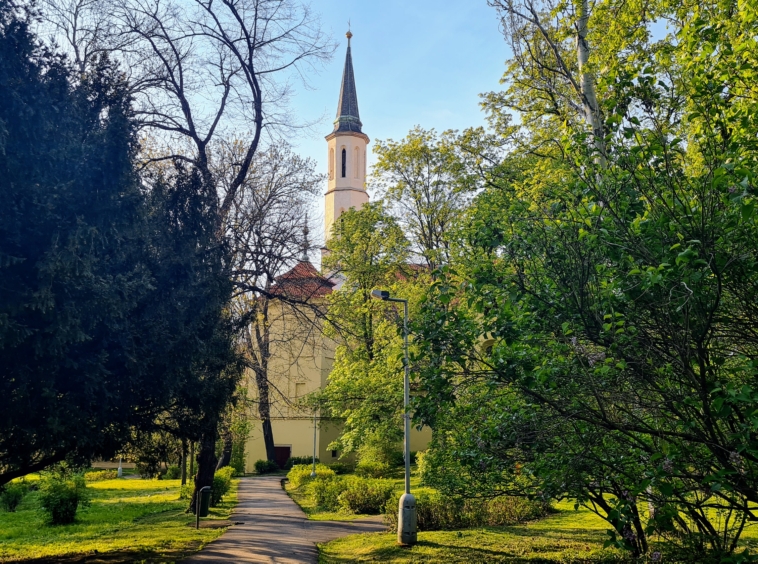 Robin Němec, nemecreality, realitní makléř, Pronájem bytu 1+kk, 34 m²